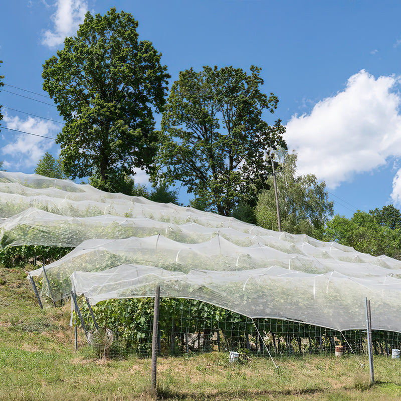 Sonnewelt Insektenschutznetz Pflanzenschutznetz 3x10m